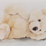 Knuffels