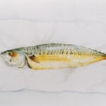 Stillevens